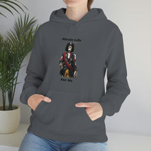 Load image into Gallery viewer, Pirate Life for me™ Unisex Heavy Blend™ Hooded Sweatshirt