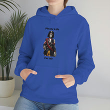 Load image into Gallery viewer, Pirate Life for me™ Unisex Heavy Blend™ Hooded Sweatshirt