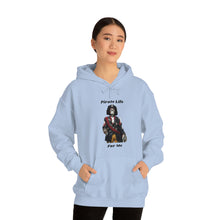 Load image into Gallery viewer, Pirate Life for me™ Unisex Heavy Blend™ Hooded Sweatshirt
